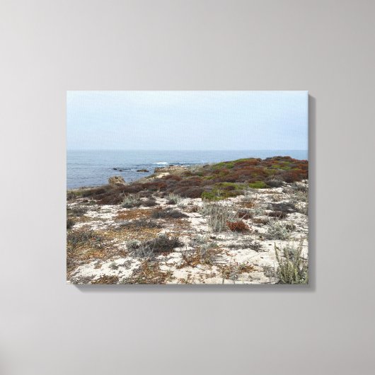 Toile de Californie : Asilomar (Recto)
