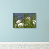 Toile de canard enrobée (Insitu (Plancher de Bois))