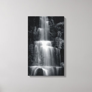 Toile de cascade noire et blanche Imprimer