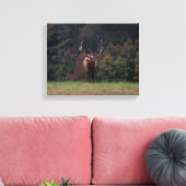 Toile de cerf (Insitu(Salon))