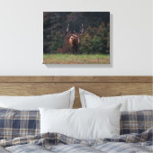 Toile de cerf (Insitu(Chambre))