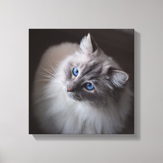 Toile de chat Ragdoll - Millie's Blue Eyes (Recto)