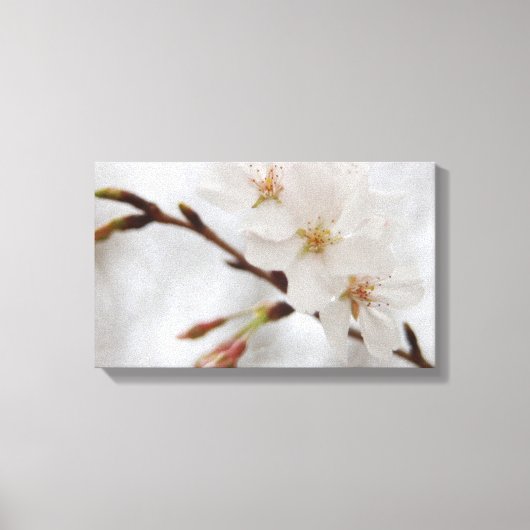Toile de Cherry Blossom (Recto)