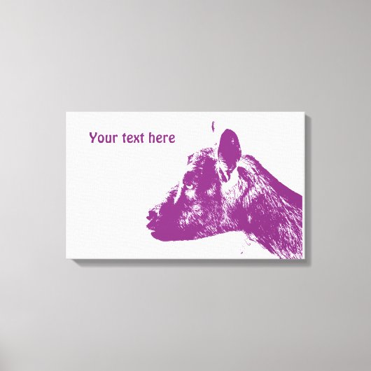 Toile de chèvre violette enveloppée (Recto)