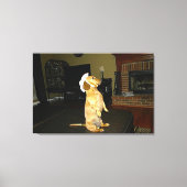 Toile de chien teckel assis joliment ou en train d (Recto)