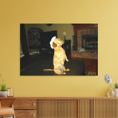 Toile de chien teckel assis joliment ou en train d (Insitu(Salon))