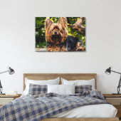 Toile de chien Yorkie (Insitu(Chambre))