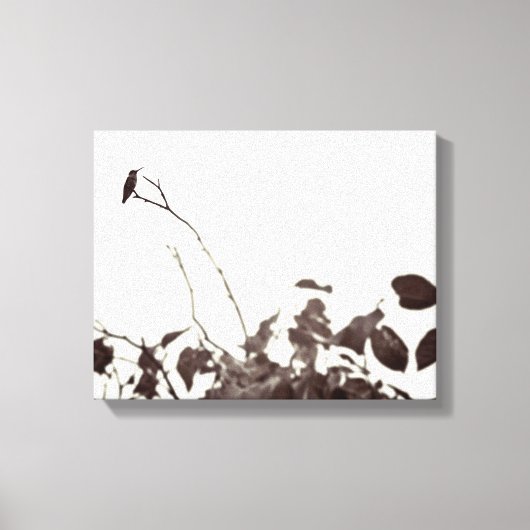 Toile de colibri perchée 14x11 enrobée (Recto)