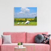 Toile de coquillage (Insitu(Salon))