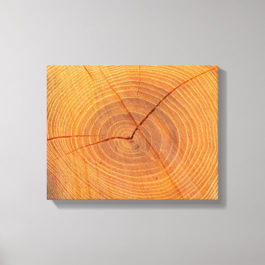 Toile de coupe de l'arbre Acacia Imprimer (Recto)