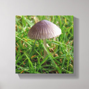 Toile de décoration murale de champignons