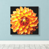 Toile de fleur Dahlia. (Insitu (Plancher de Bois))