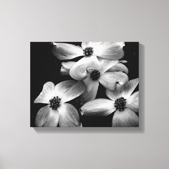 Toile de Fleur de Dogwood noir et blanc (Front)
