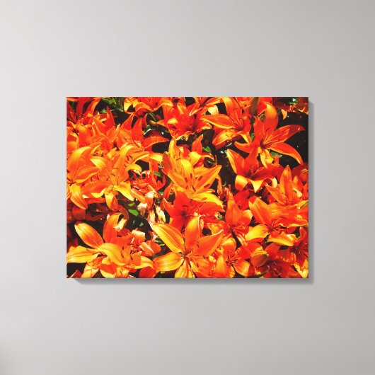 Toile de Fleur Lily Orange Feu (Recto)