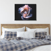 Toile de fond avec coquillage et perle (Insitu(Chambre))