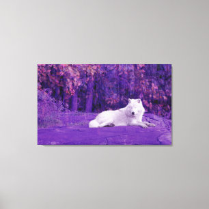 Toile de loup d'Imaginaire
