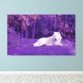 Toile de loup d'Imaginaire (Insitu (Plancher de Bois))