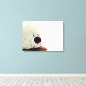 Toile de l'ours (Insitu (Plancher de Bois))