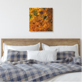 Toile de miel enrobée (Insitu(Chambre))
