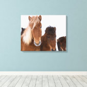 Toile De mignons chevaux islandais ensemble (Insitu (Plancher de Bois))