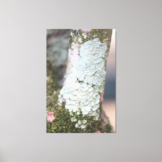 Toile de nature colorée (Recto)