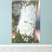 Toile de nature colorée (Insitu (Plancher de Bois))
