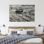 Toile de Pic Downy 60 x 40 enrobée (Insitu(Chambre))