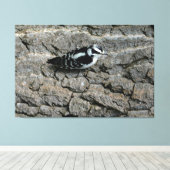 Toile de Pic Downy 60 x 40 enrobée (Insitu (Plancher de Bois))