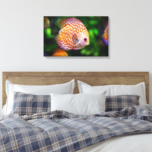 Toile de poisson Discus (Insitu(Chambre))
