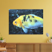 Toile de poisson rouge (Insitu(Salon))