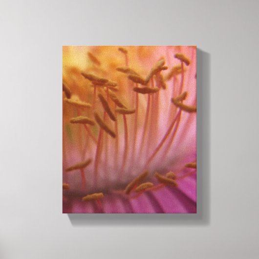 Toile de pollen rose (Recto)