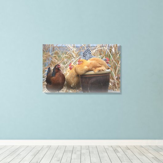 Toile de poulet enrobée (Insitu (Plancher de Bois))