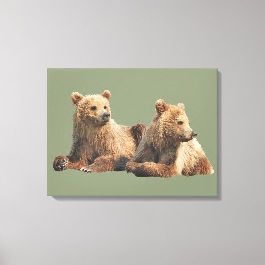 Toile de qualité supérieure enrobée 24x18 d'ours g (Recto)