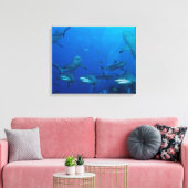 Toile de requin de récif enveloppée (Insitu(Salon))