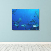 Toile de requin de récif enveloppée (Insitu (Plancher de Bois))