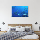 Toile de requin de récif enveloppée (Insitu(Chambre))