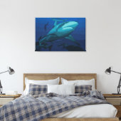 Toile de requin - Imprimer (Insitu(Chambre))