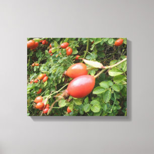 Toile de rose rouge juteuse en fruits Canvas Print