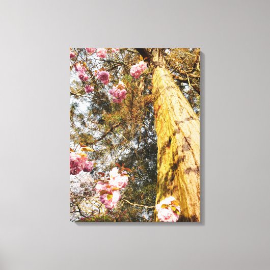 Toile de séquoias et de fleurs de cerisiers (Recto)