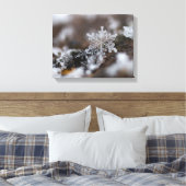 Toile de snowflacon (Insitu(Chambre))