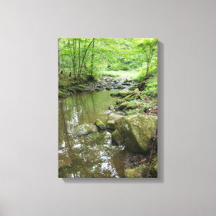 Toile de tableau sur cadre en bois de forêt brumeu