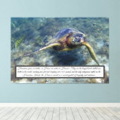 Toile de tortue verte (Insitu (Plancher de Bois))