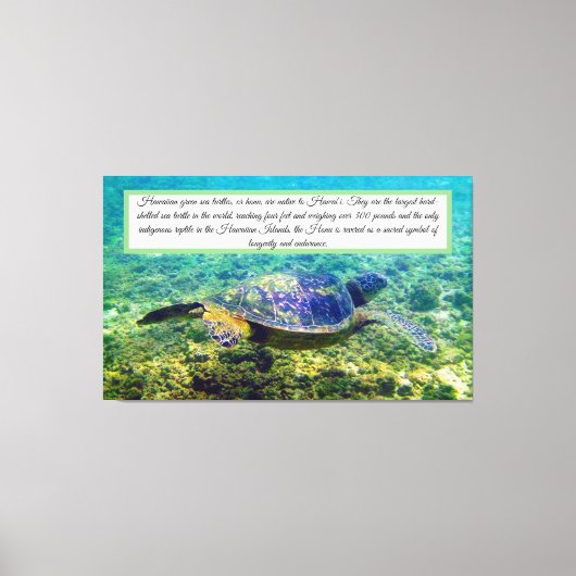 Toile de tortue verte (Recto)