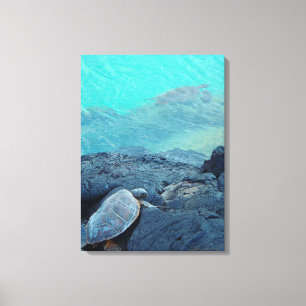 Toile de tortues terrestres et marines de Kiholo B