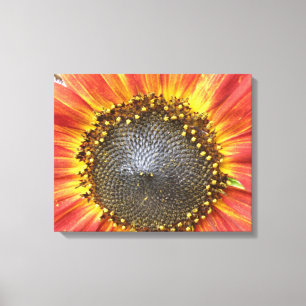 Toile de tournesol rouge et jaune Imprimer