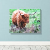 Toile de vache écossaise Highland (Insitu (Plancher de Bois))