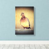 Toile Debonair Dove (Insitu (Plancher de Bois))