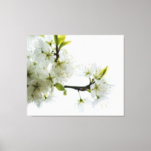 Toile Décor à fleurs 89 (Recto)