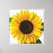 Toile Décor tournesol (Recto)