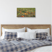 Toile Décoration murale de champ de citrouilles (Insitu(Chambre))